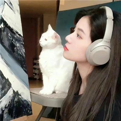 爱在零纬度
